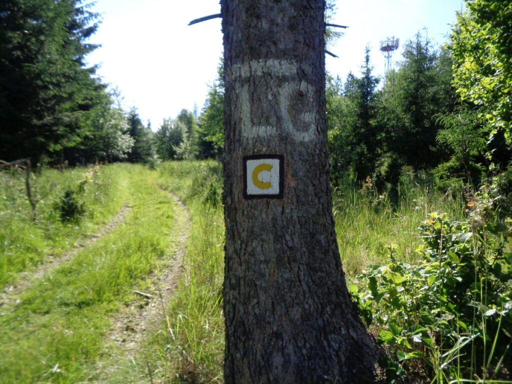 Objavte 9 cykloturistických trás v okolí Korňe. Vyberte si trasu podľa náročnosti, dĺžky a terénu a naplánujte si výjazd na Cykloportáli.